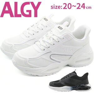 ALGY AW[ Xj[J[ LbY WjA C zCg  ubN  eB[ jRv` ɂՂ  K[Y Vv ʋC nYt[ ̎q zCgXj[J[ ʊw w