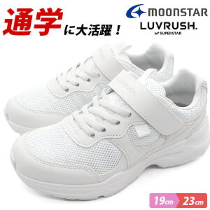 Xj[J[ LbY q C  zCg y y ʊw wZ ^ wC  V[Y ̈ X|[c Vv bV ʋC R [X^[ ubV MOONSTAR LUVRUSH LV 1215