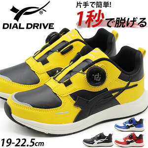 Xb| LbY q WjA j̎q ̎q C Xj[J[  ubN F CG[ u[ bh  ₷ _C _C qC ^ ʊw ^C O S S _C