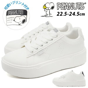 Xj[J[ fB[X C Vv y y  NbV K  zCg  ubN Xk[s[ EbhXgbN ʊw ʋ d NbV LN^[ PEANUTS s[ibc PN8290