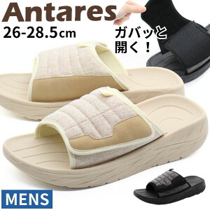 y25聚Pő8{z ͂ T_ Y C RtH[gT_ ₷ K NbV  Vv ɂ   i  ubN x[W MuX 