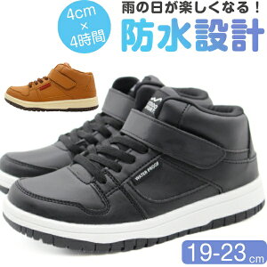 Xj[J[ LbY WjA q j̎q ̎q nCJbg u[c C  ubN L h 4cm×4 J  ɂ  Vv wZ ʊw Xg[g h }WbNe[v 