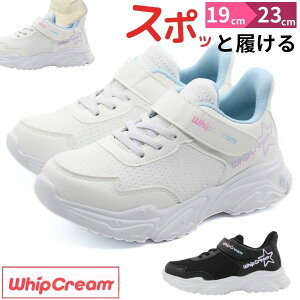 y25聚Pő8{z Xj[J[ LbY WjA q C Xb|  ubN  zCg y y 킢 Vv wZ ʊw ʊwp ^ X|[c ₷ nYt[ ^