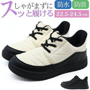 y25聚Pő8{z u[c fB[X C Xj[J[ Xm[ EB^[ Xm[V[Y  ubN AC{[ nYt[ h  ~ g  h ɂ J  ₷