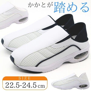 i[XV[Y Xb| fB[X C  zCg lCr[ i[X a@ GANbV Vv y y K ɂ Ȃ Ƃ߂  a@ Ōt m ȉq