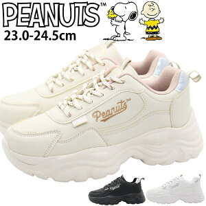 Xj[J[ fB[X C Vv  킢  ubN  zCg   _bh {[ y y ₷ Ȃ d E ʋ ʊw i R[f JWA 