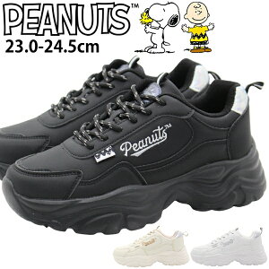 y25聚Pő8{z Xj[J[ fB[X C Vv  킢  ubN  zCg   _bh {[ y y ₷ Ȃ d E ʋ ʊw 