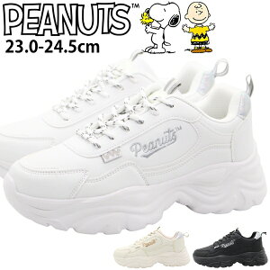 Xj[J[ fB[X C Vv  킢  ubN  zCg   _bh {[ y y ₷ Ȃ d E ʋ ʊw i R[f JWA 