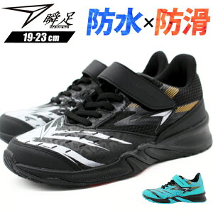 u Xj[J[ LbY WjA qǂ C j̎q ̎q  ubN y h J h y ₷ ₷ Ȃ Ȑ  ʊw ʉ ^ ̈ ^ X|[c  