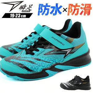 u Xj[J[ LbY WjA qǂ C j̎q ̎q  ubN y h J h y ₷ ₷ Ȃ Ȑ  ʊw ʉ ^ ̈ ^ X|[c  