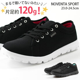 蒸し器 脇に ハチ 黒 スニーカー レディース 軽い Halschool Org