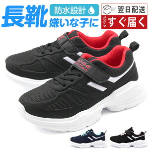 Xj[J[ LbY WjA q j̎q ̎q C  ubN lCr[ sN h J ʊw y y Ȃ xge[v  킢 Vv w ^C ~J  f