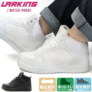  Xj[J[ fB[X C  nCJbg  ubN  zCg h J J̓ Ȃ L CY 3E  NbV OC\[ d ʊw wZ  ~ Vv 