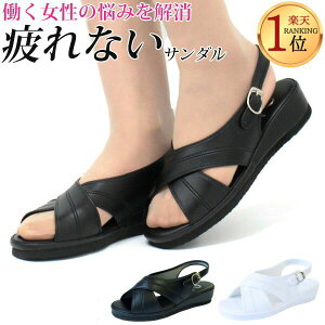 i[XT_ i[XV[Y  ɂ ubN  zCg fB[X C Ȃ ItBXT_ y y sAEH[J[ pure walker BASIC PW7602 Â  r NXC 