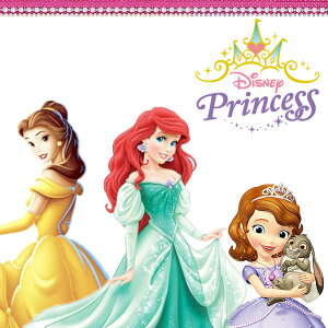 ディズニープリンセスアリエルソフィアレインブーツ子供キッズジュニア長靴DisneyPRINCESS