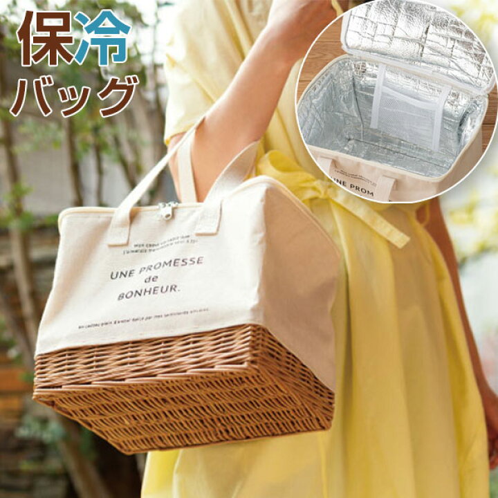 楽天市場】保冷バッグ エコバッグ レジバッグ コンビニ ファスナー 