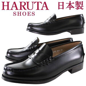 HARUTA 304 yn^ fB[X {v[t@[z (ubN) [蕝2E]