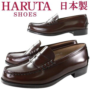 HARUTA 304 yn^ fB[X {v[t@[z (uE) [蕝2E]