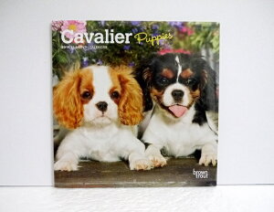 A2019N~jJ_[uLoGLO`[YXpjG ps[v