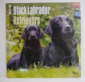 A2015NJ_[uubNuh[go[v