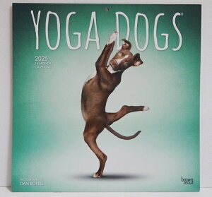 A2025NJ_[uYOGA DOGS^KhbOv