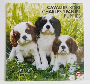 A2013NJ_[uLoGLO`[YXpjG ps[v