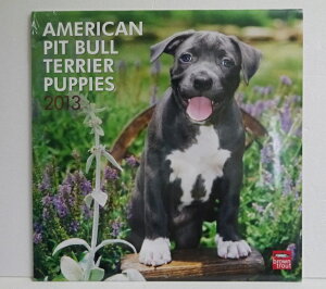 A2013NJ_[uAJsbgueA ps[v