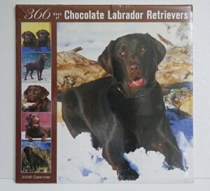 A2008NJ_[u366̃`R[guh[go[v