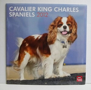 A2012NJ_[uLoGLO`[YXpjGv