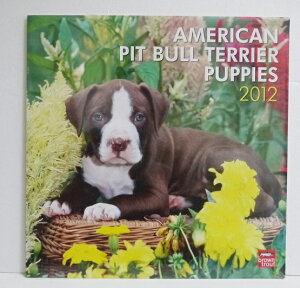 A2012NJ_[uAJsbgueA ps[v