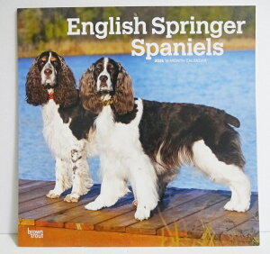 A2026NJ_[uCObVEXvK[EXpjGv