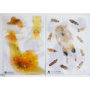 wNAt@C2 CJE^RBabyE~EVEAtV Ax