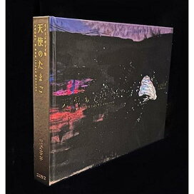 楽天市場】『空山基作品集 SORAYAMA THE GYNOIDS SUBLIME 会場版 