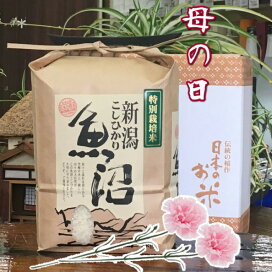 楽天市場】米 10kg 令和7 魚沼産コシヒカリ 新潟 魚沼 2025年 送料別 
