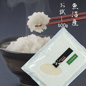  600g n _Ƃ̕ 7NY V YRVqJyʍ͔|āz