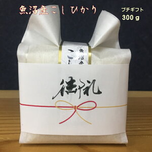 Ղ 킢   NX}X z  LOi ސE  䈥A V 300g Y mxeB