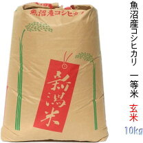 楽天市場】千葉県産 コシヒカリ 玄米 10kg 1等米の通販