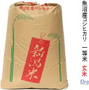 【新米予約】米 5kg 玄米 一等米 2025年 魚沼産コシヒカリ（当地 農家の米）送料込み