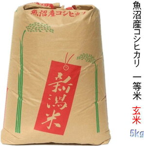  5kg ꓙ 2025N YRVqJin _Ƃ̕āj