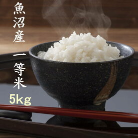値上げ申し訳ありません 米 5kg 新潟 魚沼産コシヒカリ 令和6年 一等米 白米 5kg 当地農家のお米 送料別
