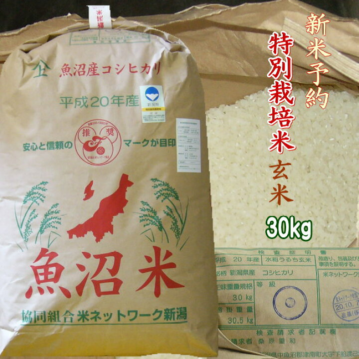 ⑤ 令和6年産 魚沼産コシヒカリ 【減農薬栽培】 玄米30Kg 