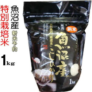 �V�� �����Y�R�V�q�J���y���ʍ͔|�� 1kg�z