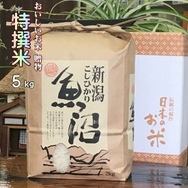 米 5kg 魚沼産コシヒカリ 特選米 箱入 内祝 おいしいお米 白米 農薬抑えた当地農家 ワンランク上の米 送料込