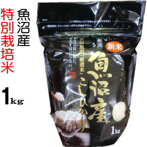 �V�� �����Y�R�V�q�J���y���ʍ͔|�� 1kg�z