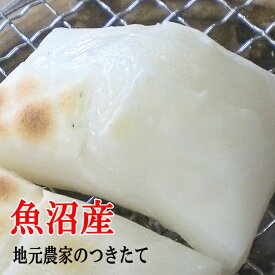 餅 もち お餅 ツキタテ 1kg【お試し 500gx 2個 送料込】餅はでっけえ方がうめえ！生産農家がついた 大きめの餅 魚沼産 最高級 こがね餅