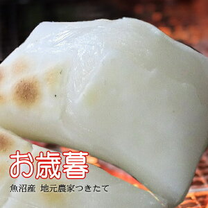  Ė݁yΕz4kgi500gx8ܓj䐳  cɂiY_ƂY