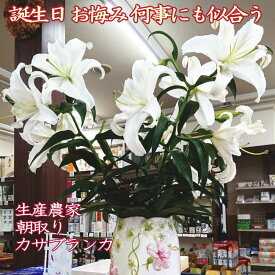 楽天市場 カサブランカ 花束の通販 楽天市場 カサブランカ 花束の通販