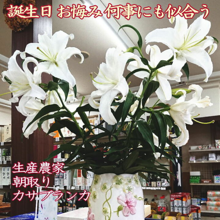 楽天市場 カサブランカ 花 10本 5本 花束ｘ2 誕生日 お祝 仏事 送料込 生産 農家 朝採り 切り花 4 7 8輪 規格外6 11月販売 里山からの贈り物