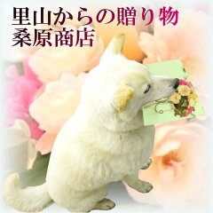 里山からの贈り物