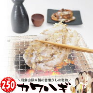 カワハギ メガ盛り おつまみ 珍味 干物 みりん干し かわはぎ 酒の肴 乾き物 炙り 皮はぎ カワハギ 乾物 …